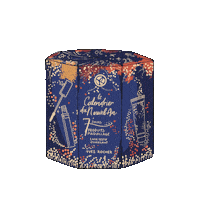 Maquillage New Year Sticker by Yves Rocher