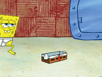 season 6 GIF by SpongeBob SquarePants