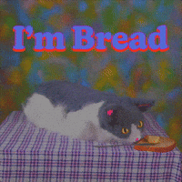 I'm Cat