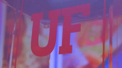University Of Florida Uf GIF by University of Florida College of Education