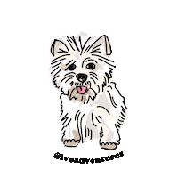 puppy friend Sticker by Ivo Adventures