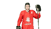 Hockey Celebrate Sticker by ledoritulys.lt