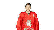 Hockey Celebrate Sticker by ledoritulys.lt