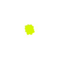 Daisy Sebastian Sticker
