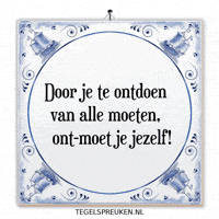 Humor Nl GIF by Tegelspreuken.nl