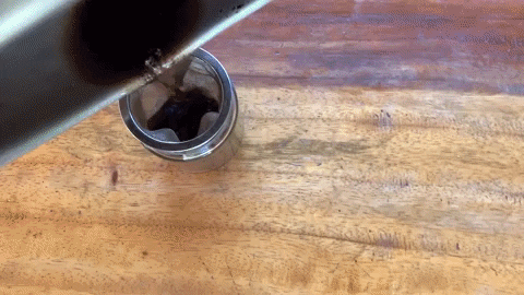 paulocarvalho4761 giphygifmaker GIF