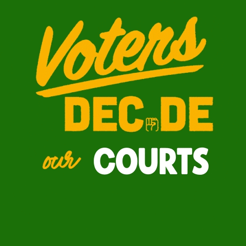 Democrats Go Vote GIF by Creative Courage