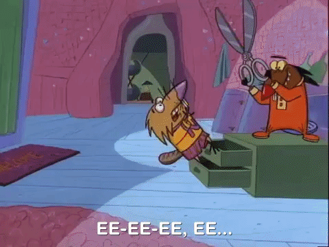 nickrewind giphydvr nicksplat angry beavers giphyab015 GIF