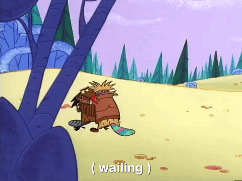 angry beavers nicksplat GIF