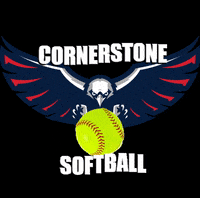 ccaeagle softball eagles cca cornerstone christian academy GIF