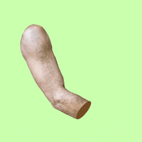 akaidaia  GIF