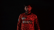 Victory Wicket GIF by SunRisers Hyderabad