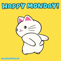 Lets Go Monday GIF by Silly Kitties