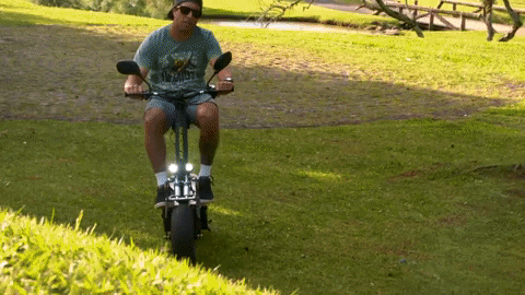 GIF by Two Dogs