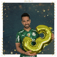 Soccer Futebol GIF by SE Palmeiras