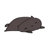 Cats National Cat Day Sticker by imoji