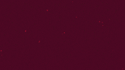 Acsparta Hany GIF by AC Sparta Praha