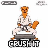 Crush It Martial Art GIF by VeeFriends