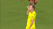 Mls Soccer GIF by Nashville SC