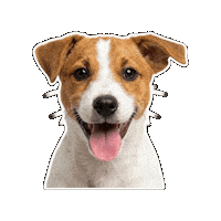 Perro Sticker by Lero Lero