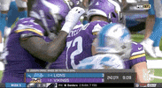 Minnesota Vikings Football GIF by NFL