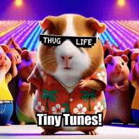 GIF by Guinea Gambino