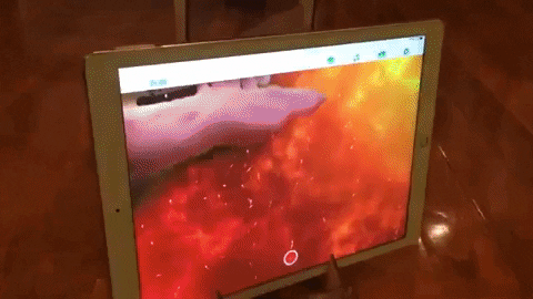 nickolaylamm giphygifmaker GIF