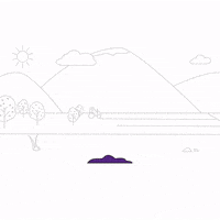 United Nations Un GIF by FAO