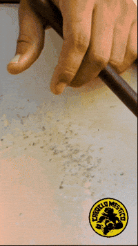 Coco Nordeste GIF by Caboclo Mestiço