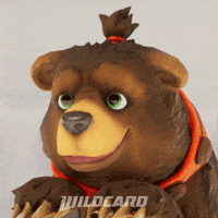 Happy Joy GIF by Wildcard