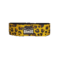 Fitness Workout Sticker by The X Bands