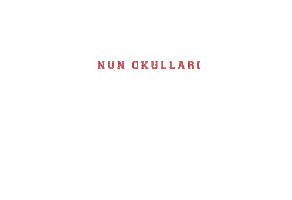 Nun2023 Sticker by nunokullari