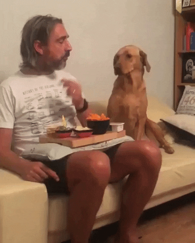 madmoizelledotcom giphyupload GIF
