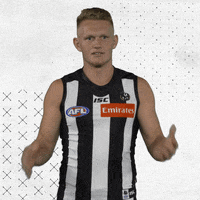 GIF by CollingwoodFC