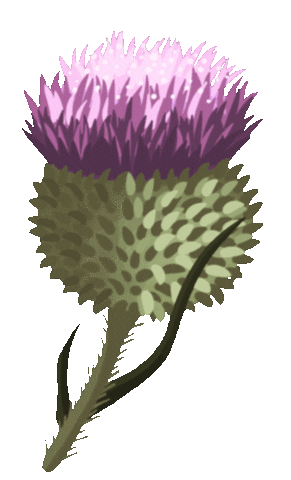 Distel Sticker by pandoo