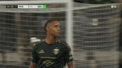 Vamos Lets Go GIF by Major League Soccer