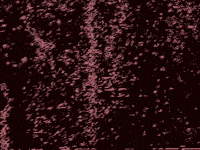 Vhs Waves GIF