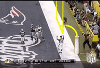 New York Giants Football GIF by NFL