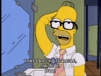 homer simpson episode 10 GIF