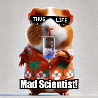 Guinea Pig Experiment GIF by Guinea Gambino