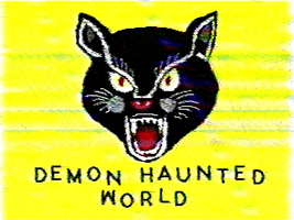 markvomit glitch vhs blackcat demonhauntedworld GIF