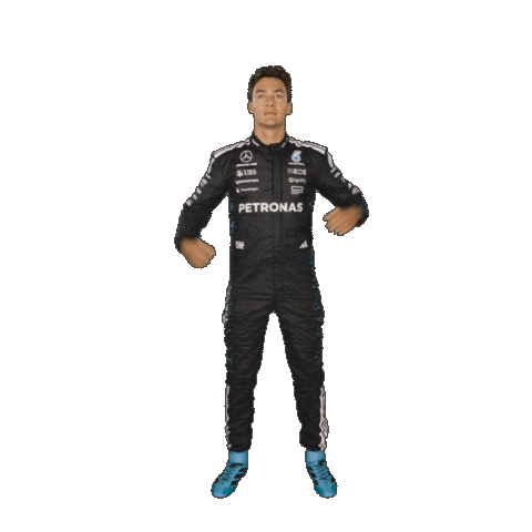Formula One Sticker Sticker by Mercedes-AMG Petronas Formula One Team