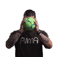 Show Hello Sticker by FuechseBerlin