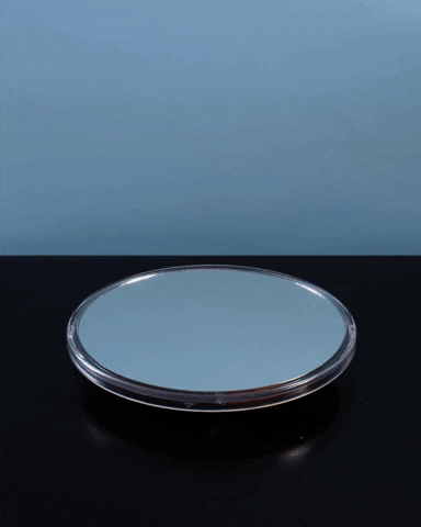 Stop Motion Mirror GIF by cintascotch
