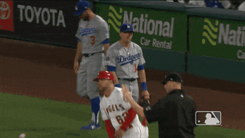 Regular Season Sport GIF by MLB