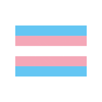 Trans Day Of Visibility Sticker by Queeres Netzwerk Niedersachsen
