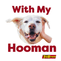 UniversalRobinaCorporation doggo pupper dogmom dog dad Sticker