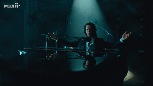 Nick Cave Concert GIF by MUBI