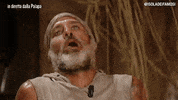 raz degan isola 12 GIF by Isola dei Famosi