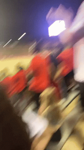 Ragin Cajuns Ul GIF by Mitch Reed